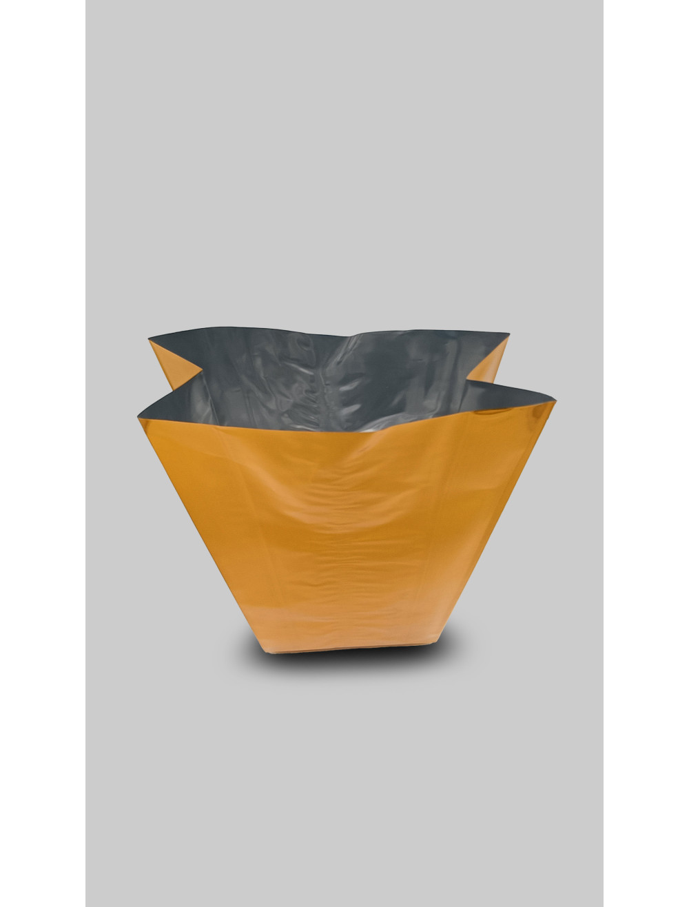 Empaque Bolsa Fiesta  500g