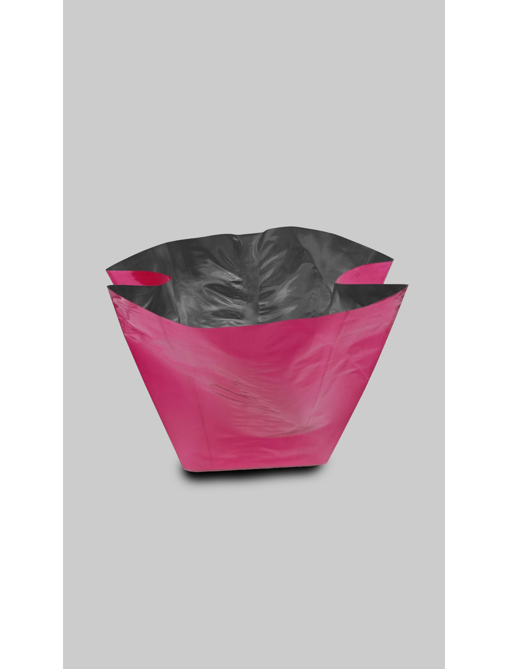 Empaque Bolsa Fiesta  500g